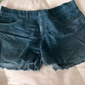 Carve Designs Teal Oahu Women's Shorts